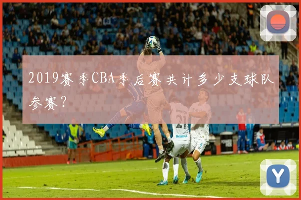 2019赛季CBA季后赛共计多少支球队参赛？