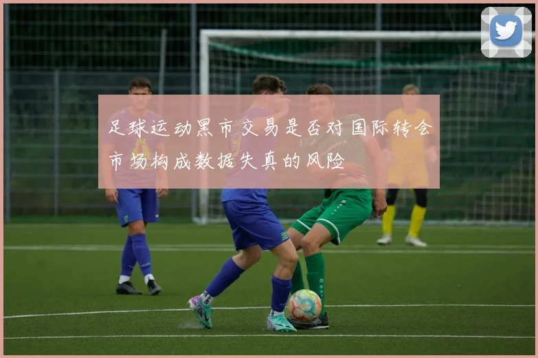 足球运动黑市交易是否对国际转会市场构成数据失真的风险